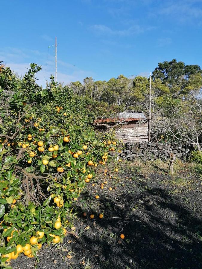 Rosa Do Canto Monte  エクステリア 写真