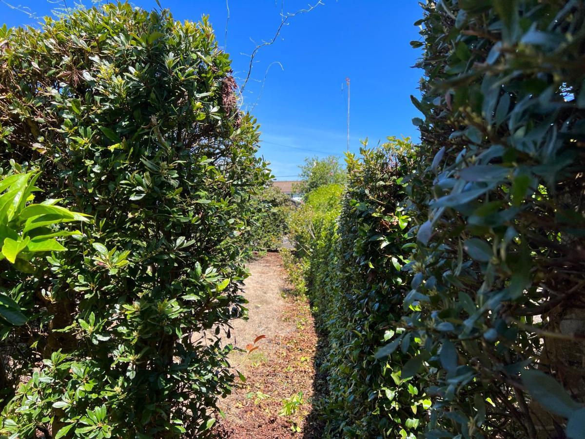 Rosa Do Canto Monte  エクステリア 写真