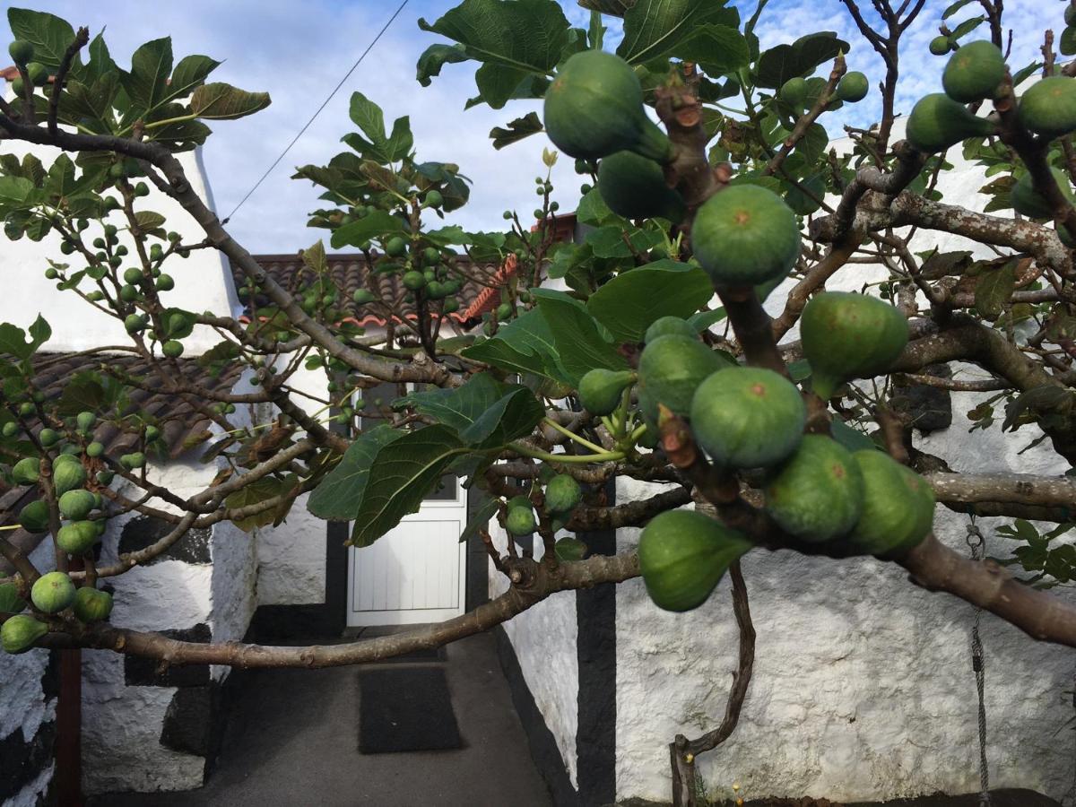 Rosa Do Canto Monte  エクステリア 写真
